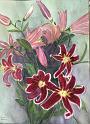 Rubrun Lilly